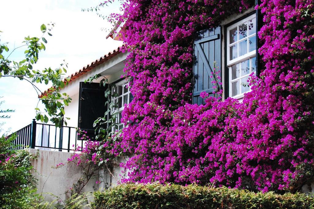 Casa De Esteiro Caminha Habitación foto