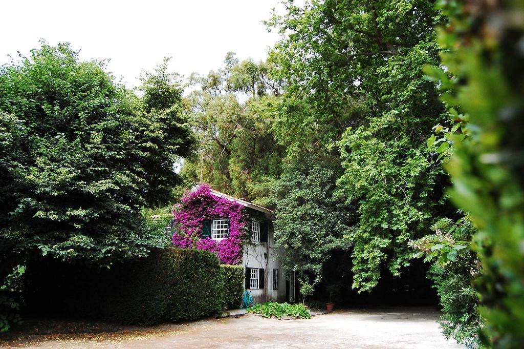 Casa De Esteiro Caminha Habitación foto