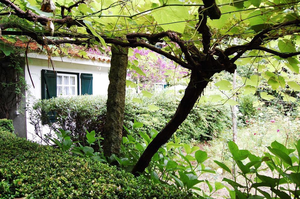 Casa De Esteiro Caminha Exterior foto